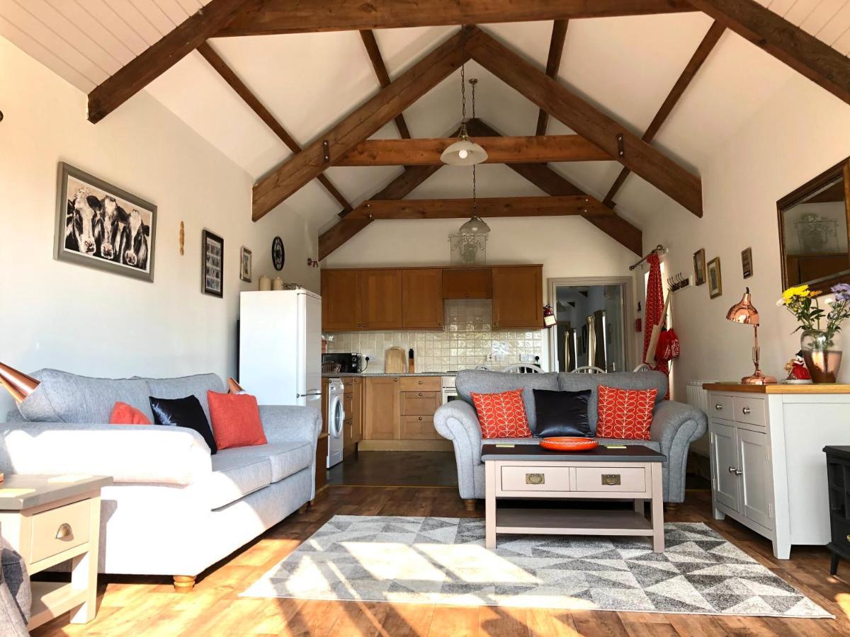 Red Kite Cottage Καρμάρθεν Εξωτερικό φωτογραφία
