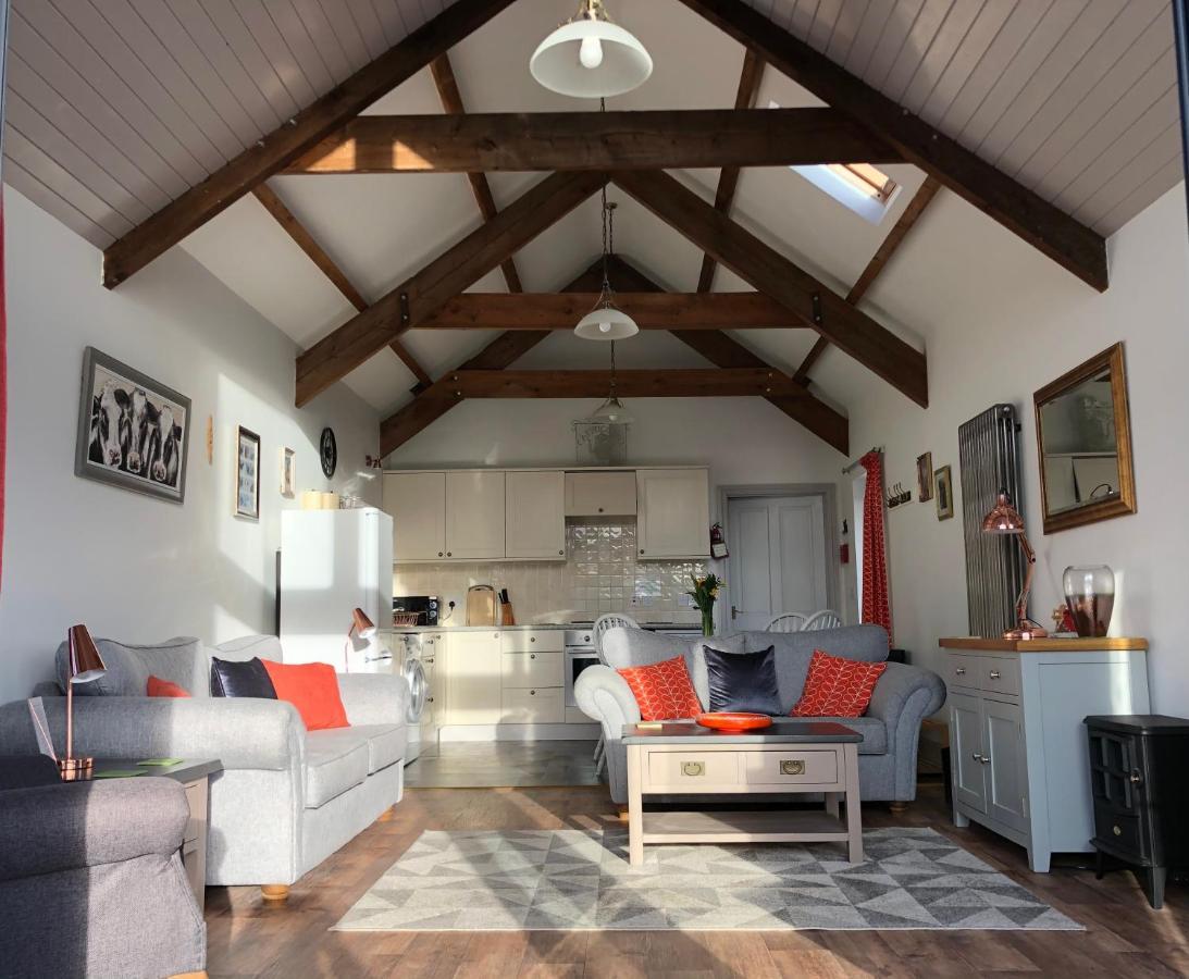 Red Kite Cottage Καρμάρθεν Εξωτερικό φωτογραφία